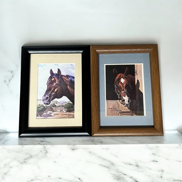 Framed Horse Portraits Set by Oren Mixer - Picture 1 of 5